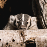 Spectacular September Photo Event