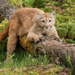 Fall Harvest Special