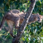 April’s Ultimate in Photography