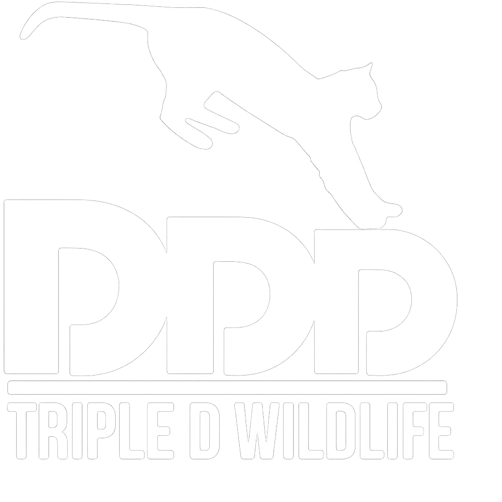 Triple D Wildlife