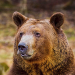 August Special At The Triple “D”