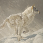 Artist Only Photography Event